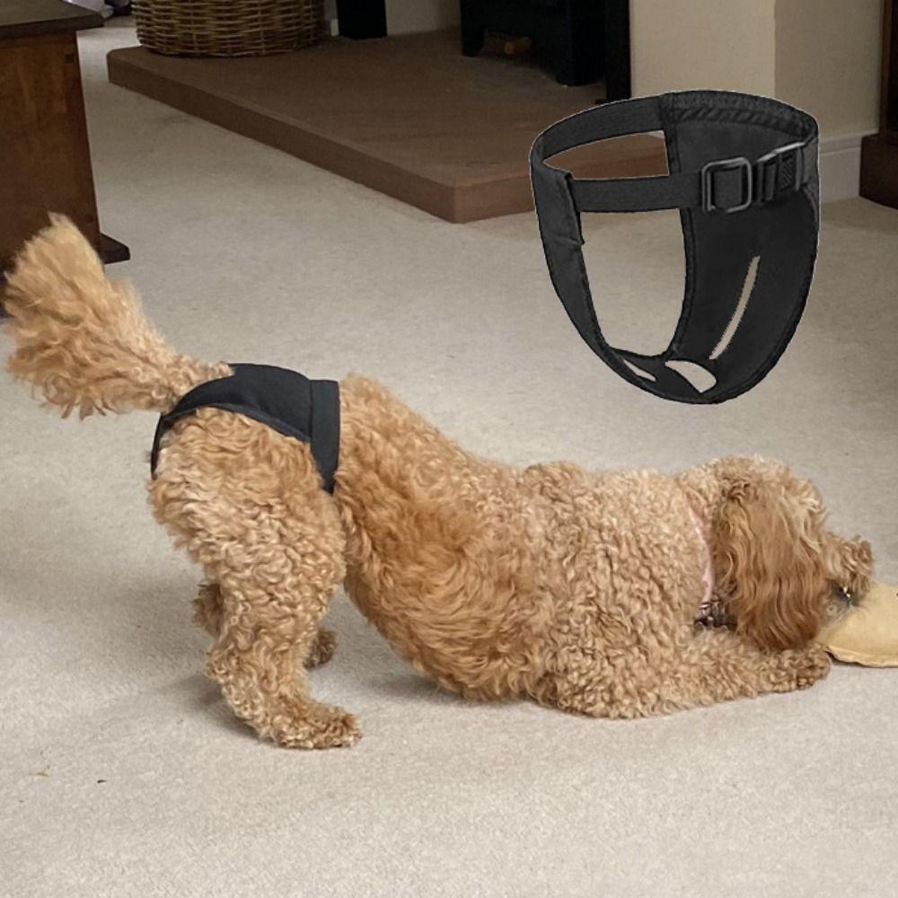 Adjustable Protective Trousers Physiological Pants Female Dog Nappies Dog Sanitary Pantie
