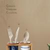 SPSR Biodegradable Disposable Pulp Cutlery