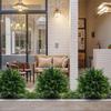 Boxwood Ball Topiary Artificial Topiary Anti-fading Finish