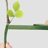 Floral Tape for Bouquet Wrapping Green Paper Adhesive for Artificial Flowers and Plant Stems DIY Crafting and Arranging