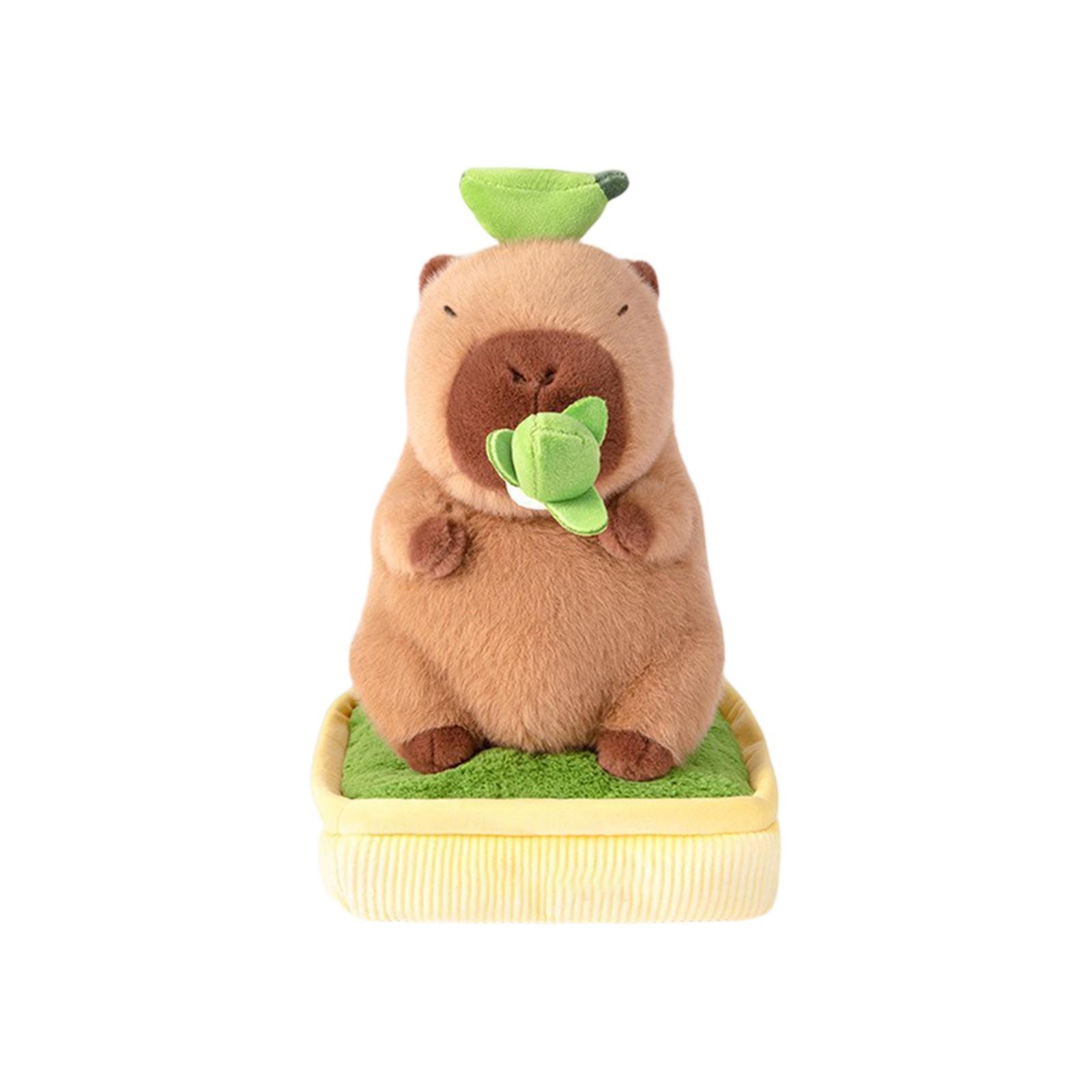 

Милая и необычная плюшевая игрушка енот креативный подарок для детей One Size