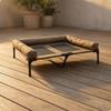 Raised Pet Cot with Bolster Padded Bed Metal Frame