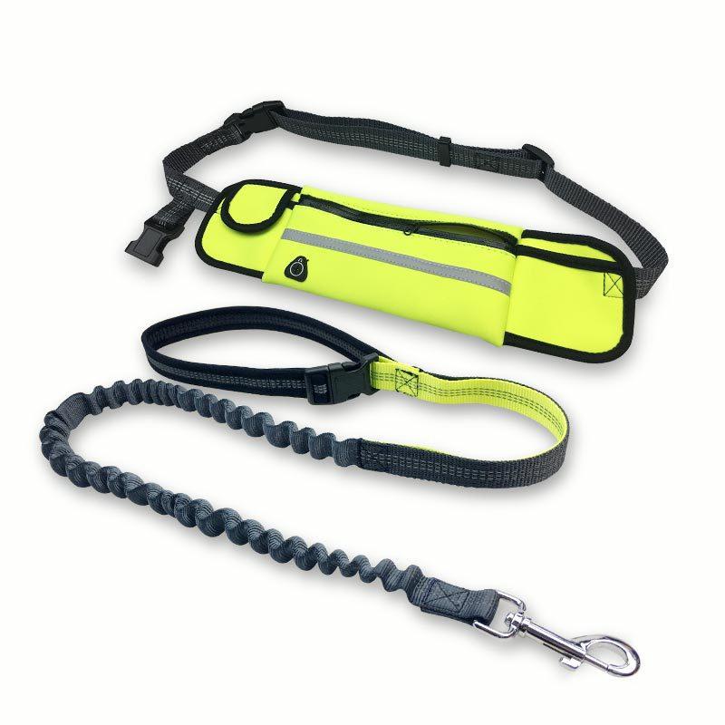 dog jogging harness