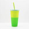 720ML Water Bottle Decorative Layout Props Plastic Adding Vitality Color Changing Beverage Cup for Kitchen