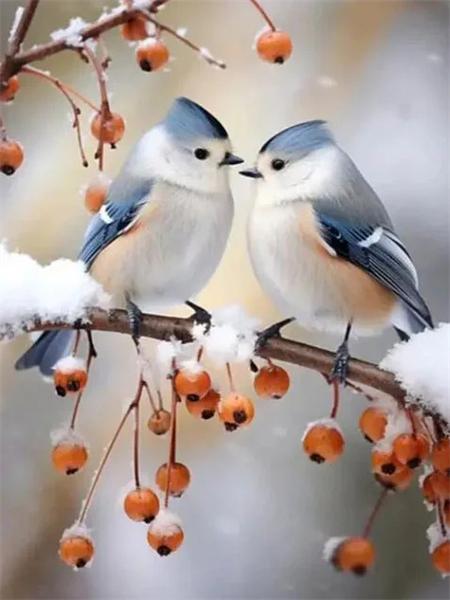 Diamond Art Painting Bird Animal 5D Diy Embroidery Mosaic Tree Snow Full Square Round Handmade Home Decor