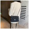 2024 Women's Small Textured Denim Crossbody Bag with Diamond Chain