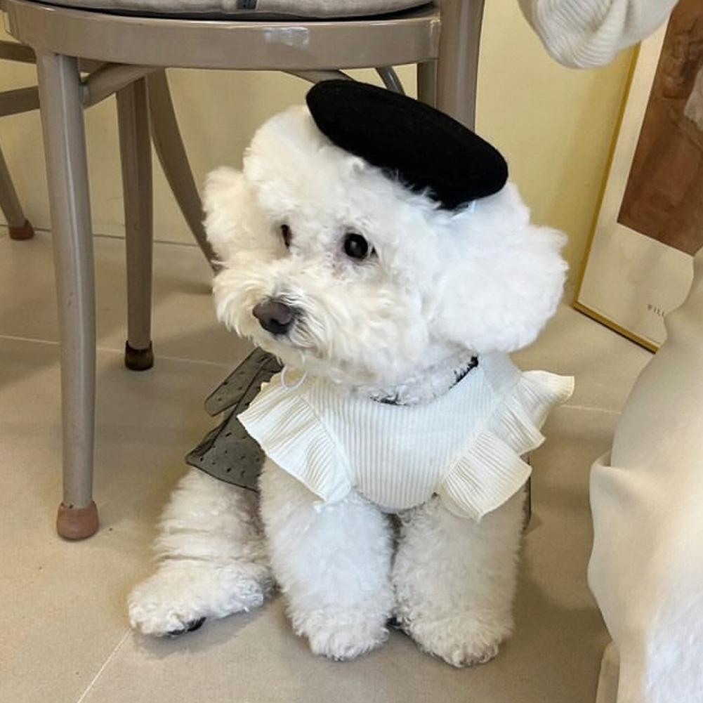 Robe de luxe pour petits chiens, vêtements d'été pour chiots, jupe