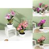 Artificial Phalaenopsis Flower Decor With Plastic And Silk Materials For Indoor Garden And Photography Props