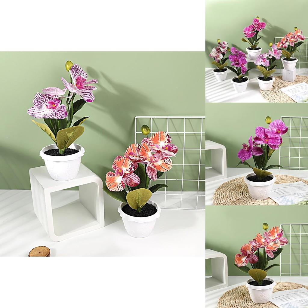 Artificial Phalaenopsis Flower Decor With Plastic And Silk Materials For Indoor Garden And Photography Props