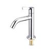 TLXT Stainless Steel Hot & Cold Basin Faucet