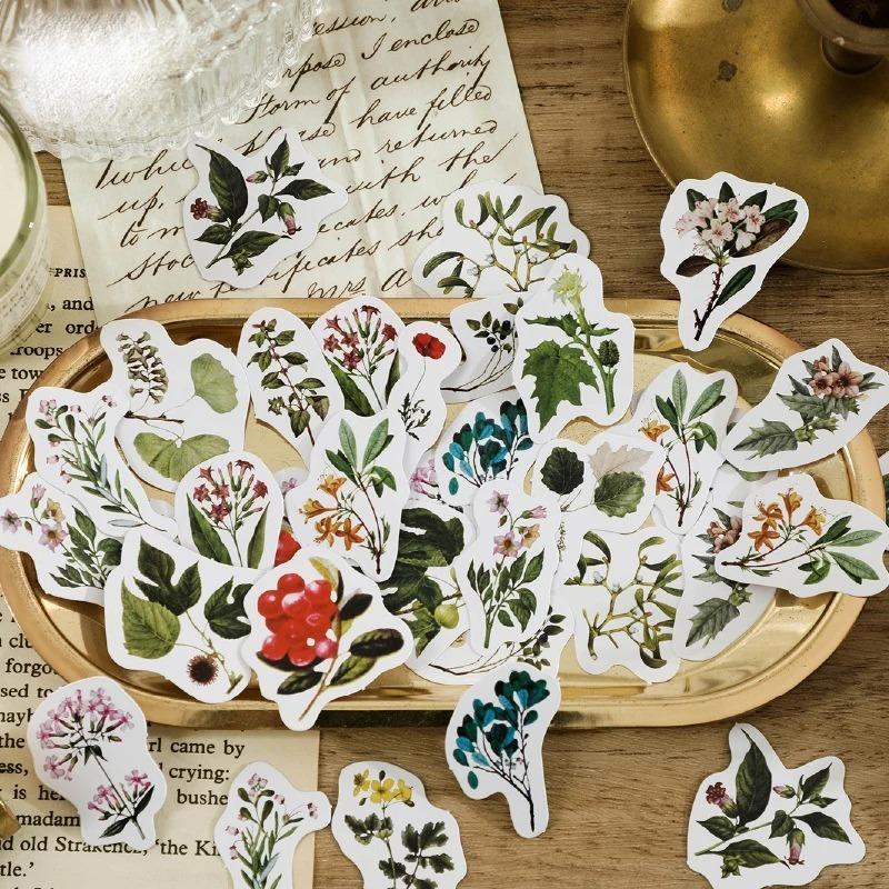 46 Pieces/box Plant Research Institute Boxed Stickers Scrapbook Album Diary Decorative Stickers Sealing Stickers Student Supplies