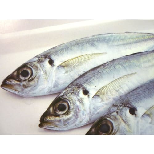 Asvel Edged Convenient Cutting Board M "Unix" White 2320