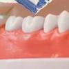 2Pcs Travel Denture Cleaning Tooth Brush With Soaking Storage Box Dentures Container For Teeth Oral Care