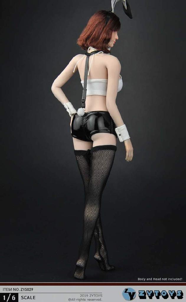 [TOYBARJAPAN] 1/6 Scale Figure Accessories/ZYTOYS ZY5029 Bunny Girl Outfit Set (Body and Head Not Included)