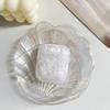 Shinny Seashells Acrylic Plastic Case For Apple AirPods 2 3 4 Pro 2 3 Earphone Cover