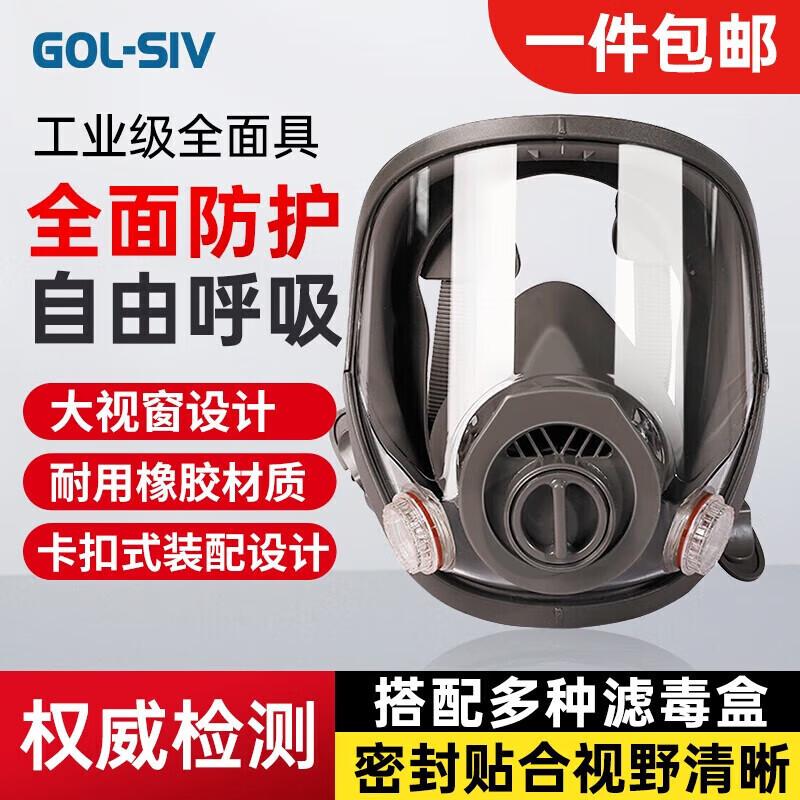 Shengli M6800 Full Face Respirator
