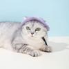 Pet Hat with Ear Holes Summer Outdoor Cute Dog Cat Hat Colorful Adjustable Baseball Cap for Small Medium Dogs Cats Pet Supplies
