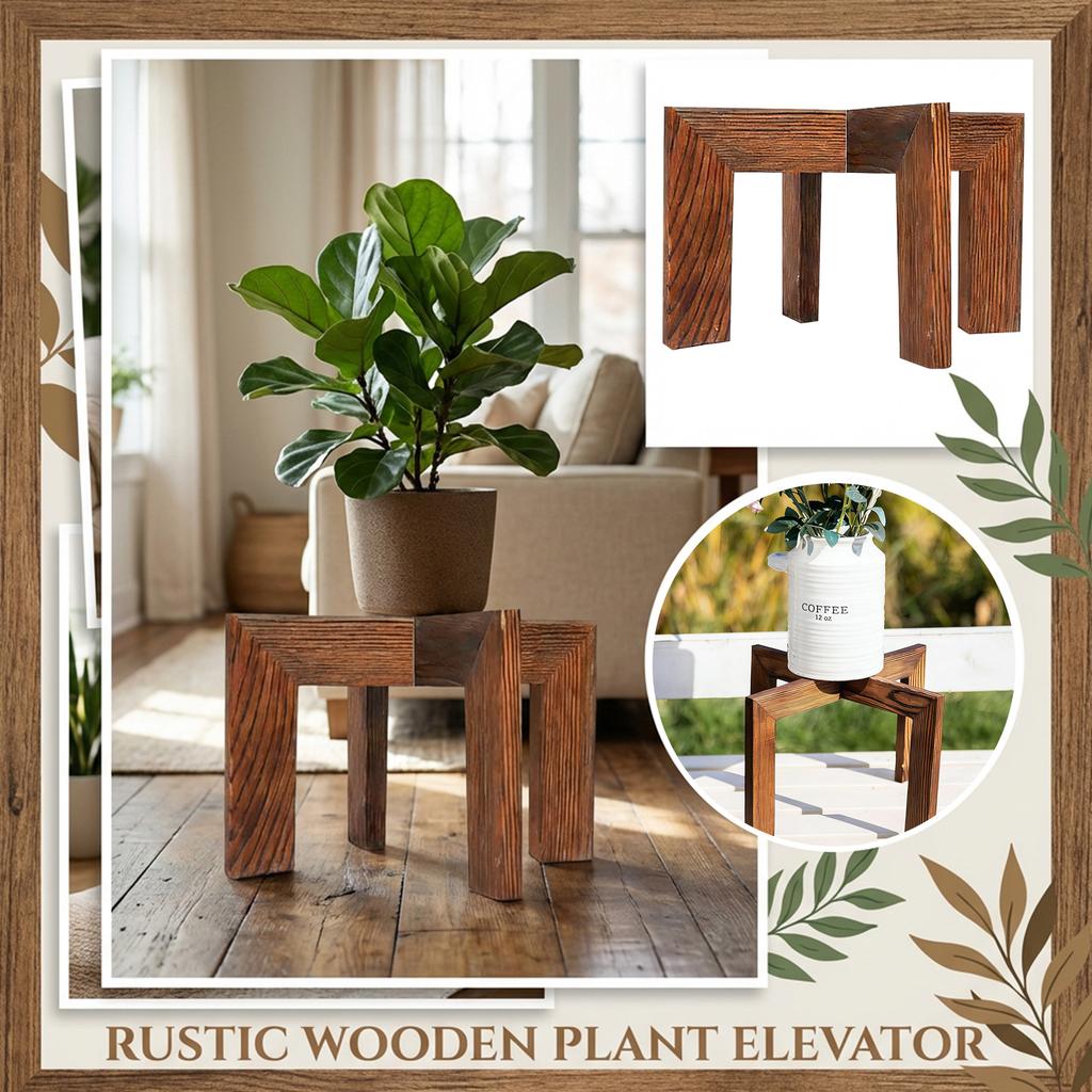 Indoor Plant Rack
