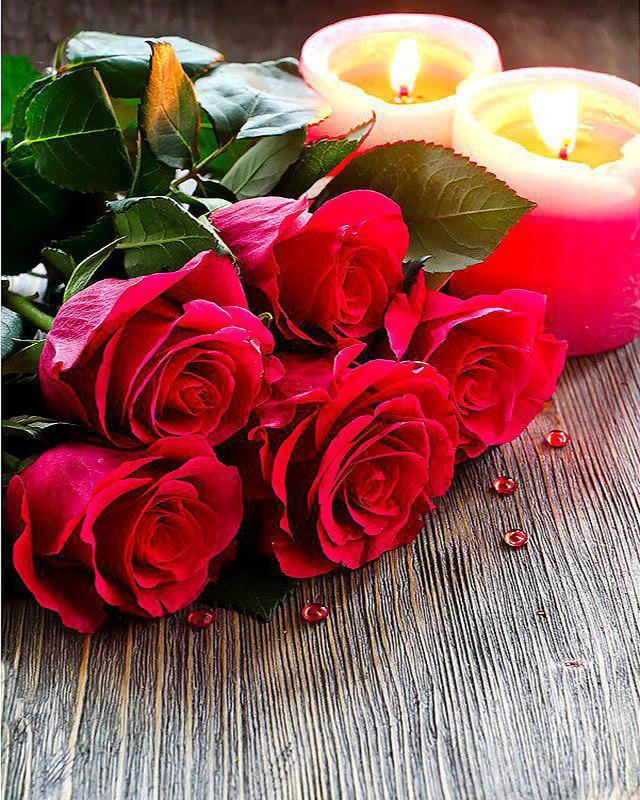 Diamant-Gemälde, Mond, Schmetterling, Geist, 5D-Diamant-Stickerei, komplettes Set, Kreuzstich, Blume, Tier, Katze, Strasssteine, Diamant-Mosaik, Wandkunst