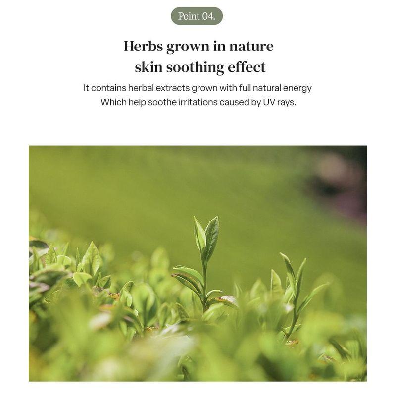 MIGUHARA - Daily Herb Sun Stick