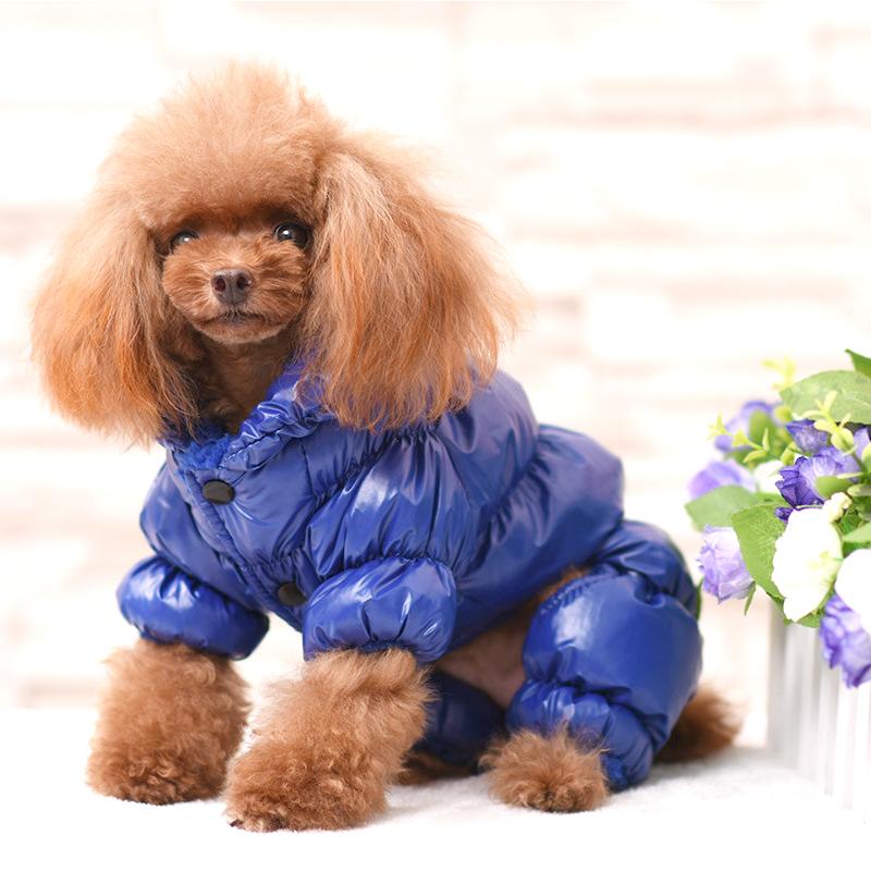 2025 Luxury Cute Xs-xxl Windproof Winter Warm and Soft Customized Dog Accessories Pet Clothes Small Dog Clothes for Puppy
