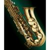J. Michael Alto Saxophone AL-780