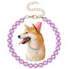 Acrylic Dog Collar Necklace Sparkling Pet Pearl Necklace Elegant Pet Neck Straps  Pet Supplies