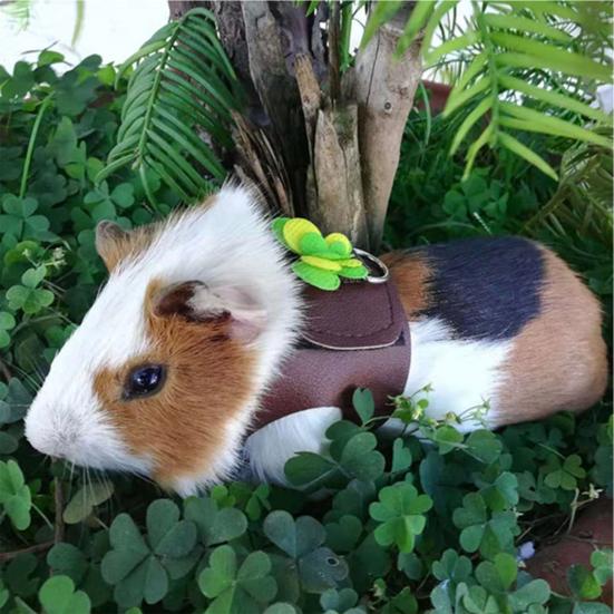 Pet Harness Mašle Dekorace Proti kousání Polyester Kšíry na hrudník pro morče Vodítko na procházky