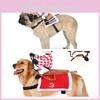 Unique And Stylish Pet Costume Transform Your Dog Into A Knight Riding A Horse