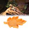 Maple Leaf Shape Reptile Water Feeder Plastic Pet Feeding Bowl Drinking Tray for Geckos Lizards Spiders Turtles