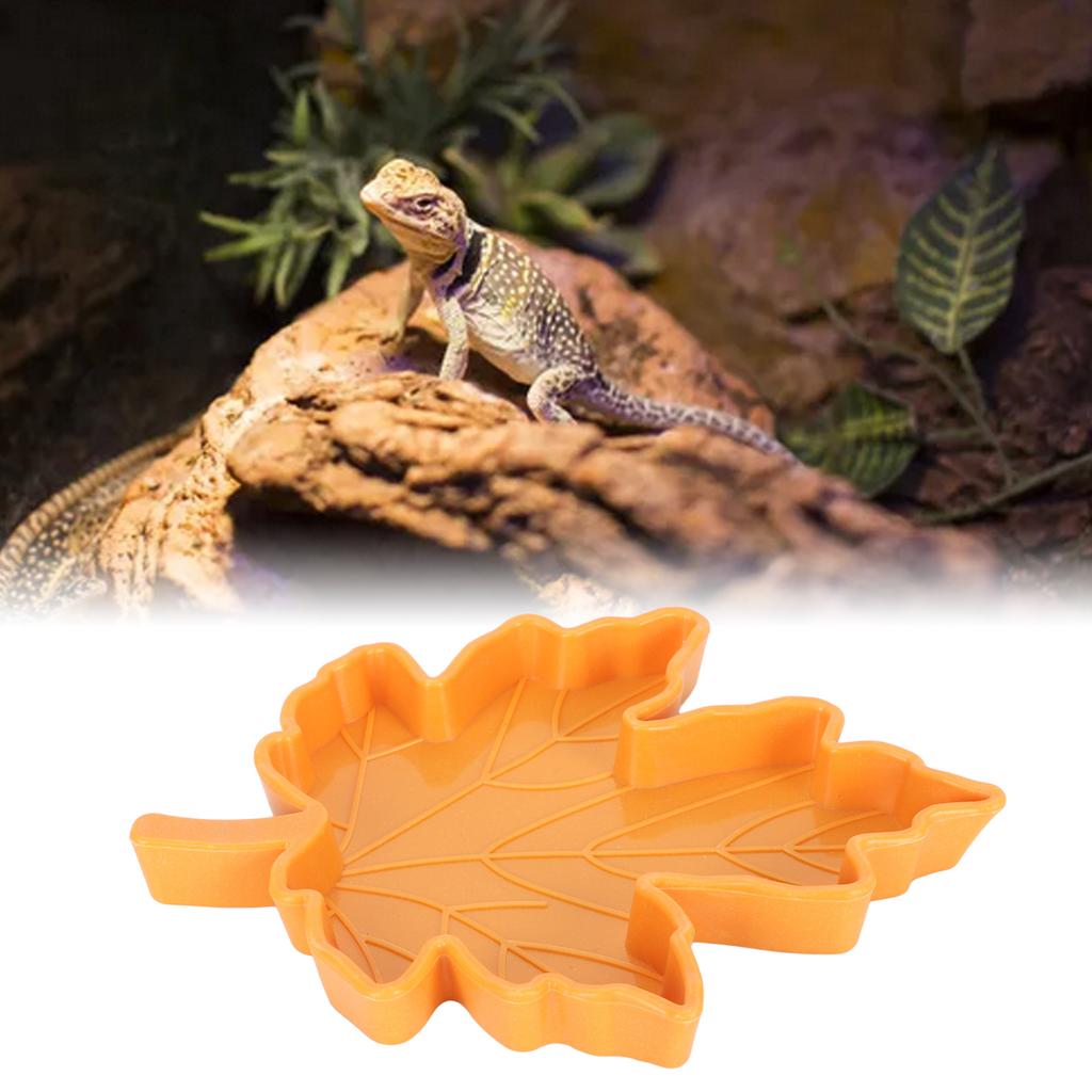 Maple Leaf Shape Reptile Water Feeder Plastic Pet Feeding Bowl Drinking Tray for Geckos Lizards Spiders Turtles