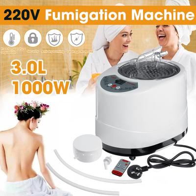 220V 3L Begasungsmaschine 1000W Heimdampfgerät Generator Dampfsauna Spa-Zelt + RC 11,2 x 10,6 x 10,6''