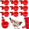 10/20 Pcs Chicken Drinking Bowl Poultry Automatic Water Dispenser Pigeon Small Chick Feeding Bowl Chicken Coop Water Dispenser