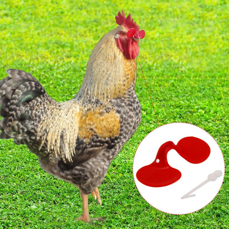 60 sztuk Bezpinowe Okulary na Oczy Zapobiegające Dziobaniu Kura Kura Kogut Z Śrubą Przeciwko Walkom Bażant Drób Okulary Klapki