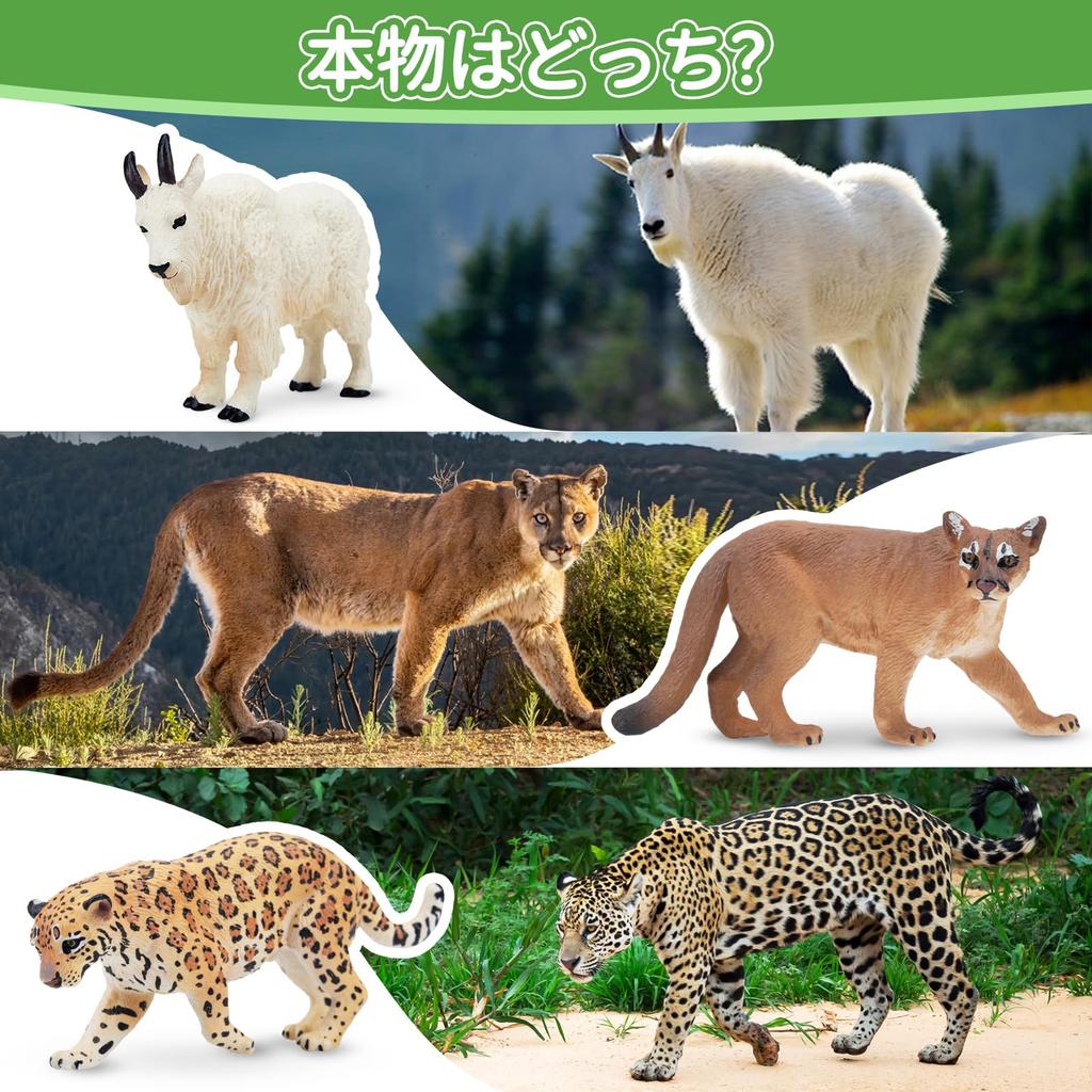 TOYMANY 14-Piece Mini North American Wild Animal Figure Set, Realistic Jungle Animal Models, Brown Bear and Elk Models, Popular Toy, Birthday Gift,