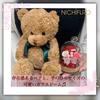 NICHIFLRO Preserved Flowers, Made in Japan, Flower and Bear Design, Birthday, Mother's Day, Gift, Cute Glass Dome (Color: Red, Bear of your choice)