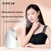 Nano Ionic Facial Steamer