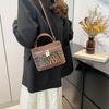 Popular Color Matching, Personalized Matte and Popular Trend, Leopard Print Design, Texture, Crossbody Shoulder Box, Small Square Bag for Women