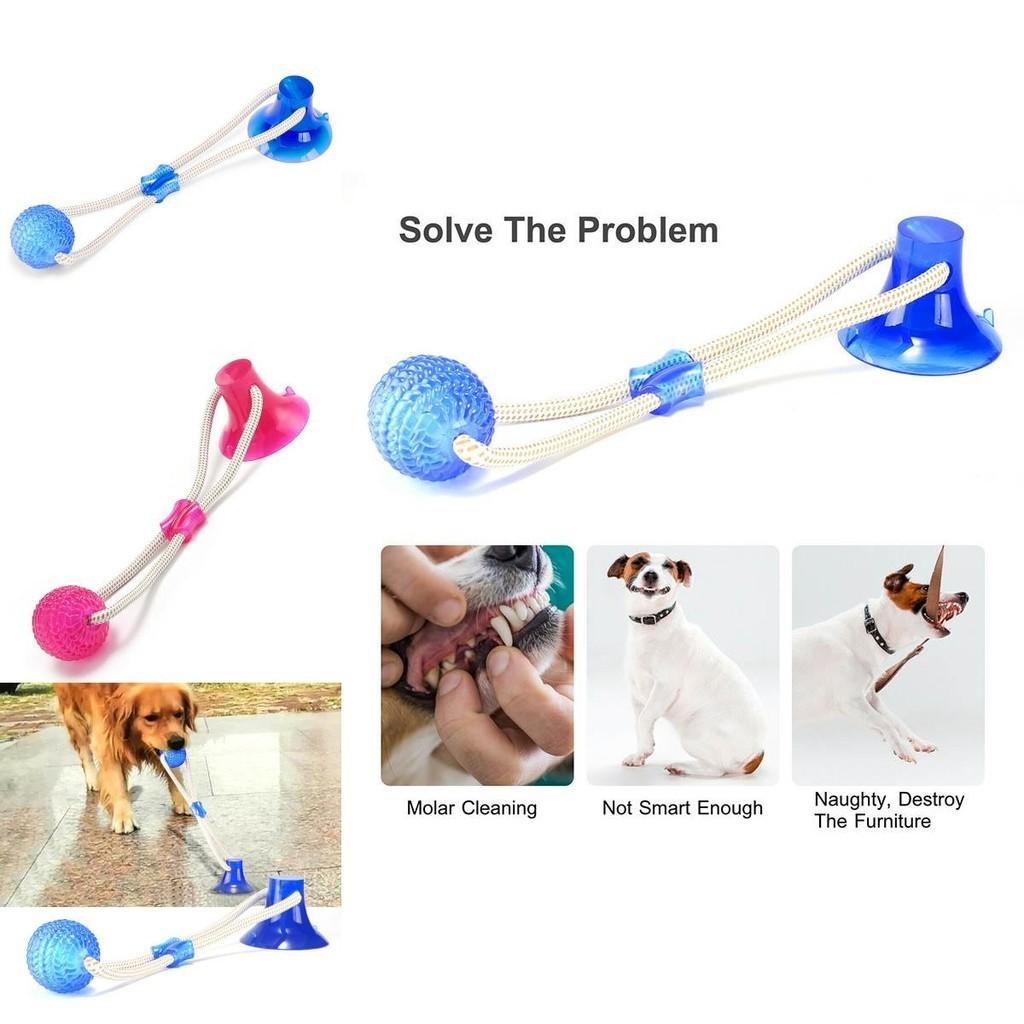 High Quality Pet Molar Bite Toy Designed For Safe Chewing And Dental Care