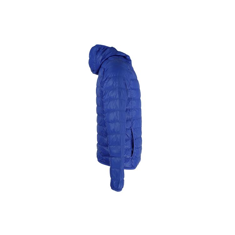 Emporio Armani EA7 Down Jackets Men's Royal Blue Hooded Lightweight 8NPB02-PN29Z-1597