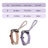 Automatic Extendable Pet Collar  For Owners  Dog Collar Telescopic  Pet  Walking Rope