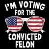 10PCS I'm Voting for the Convicted Felon Funny 2025 Magnets Decals Novelty Waterproof Car Window Decorative Sticker