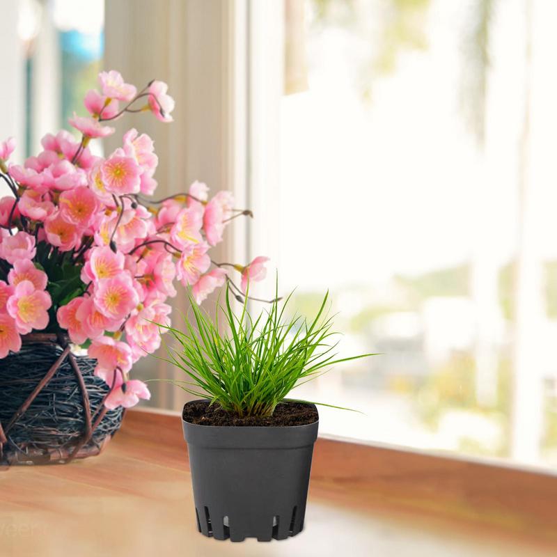 Pots For Seedlings Starter Pots 50pcs Seedling Cups Square Black Reusable Pot With Drainage Holes Gardening Kit Nursery Pot