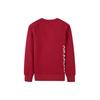 Jordan Fleece Lined Logo Pullover Sweatshirt Kids tops Jester-Red JD2032212GS-002