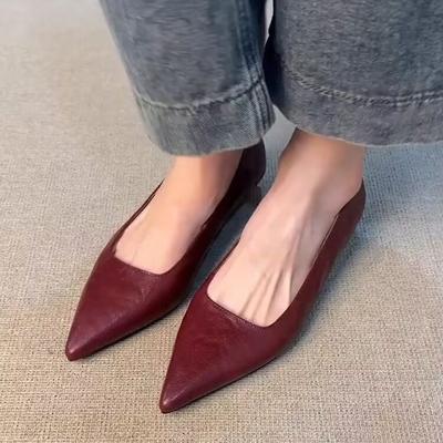 Fashion Pointed Low-heeled Small Leather Shoes for Women 2025 Spring and Summer New Retro Outer Wear Work Shoes for Women