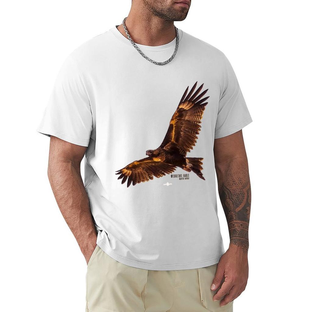 Wedgetail Eagle03c Tshirt Basic Simple Design Short Sleeve Shirt