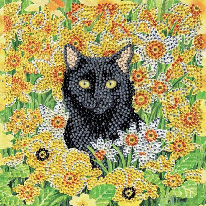 CRYSTAL ART Kit carte broderie diamant 18x18cm Chat dans le pré