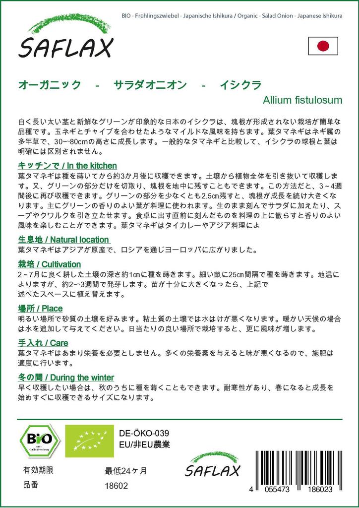 SAFLAX Garden In the Bag - Organic - Salad Onion - Japanese Ishikura - 150 Seeds - With Substrate In a Fitting Stand Up Bag - Allium Fistulosum