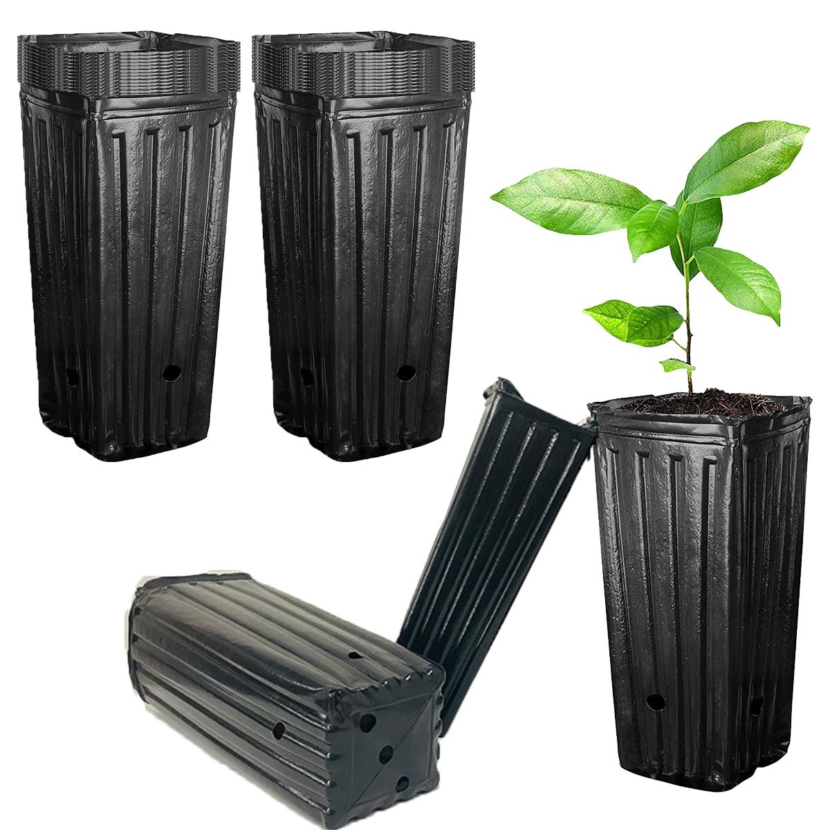 

ЗДОРОВЫЙ Саженец Поли Рассада Цветов Горшки, Горшки, Кашпо, Глубокие, Длинные, Горшки, Горшки, Винил, (Набор 20) чёрный