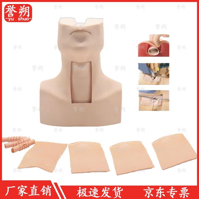 Advanced Cricothyrotomy & Tracheal Intubation Training Model
